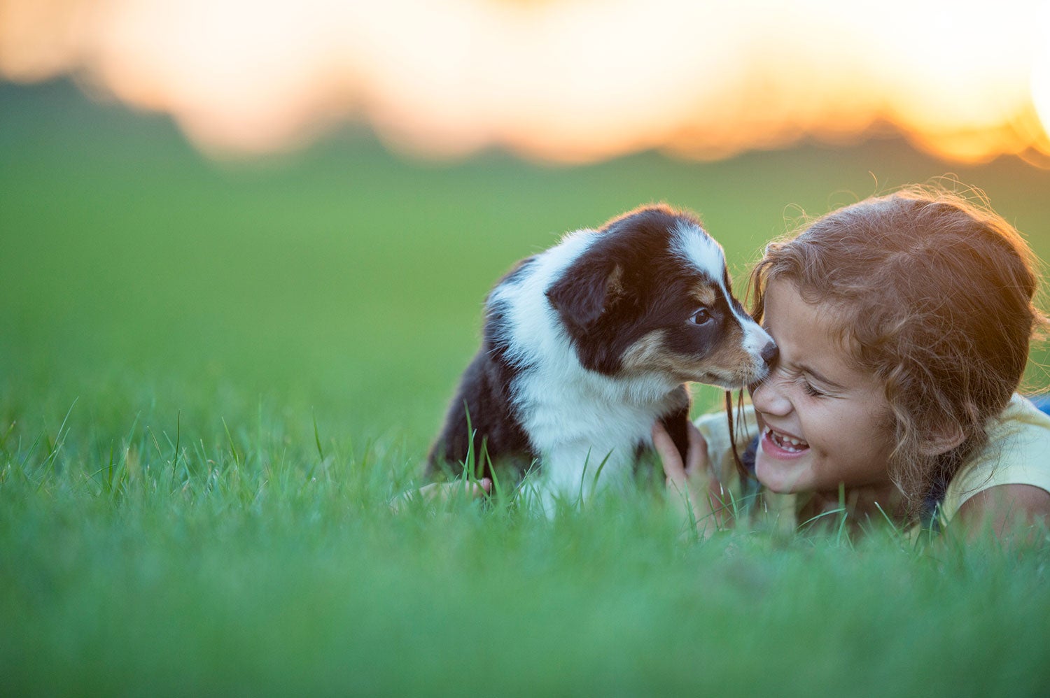puppy-grass-little-girl-GettyImages-615492472