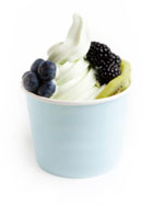 frozen yogurt and fruit