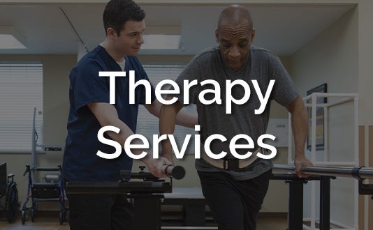 THERAPY SERVICES