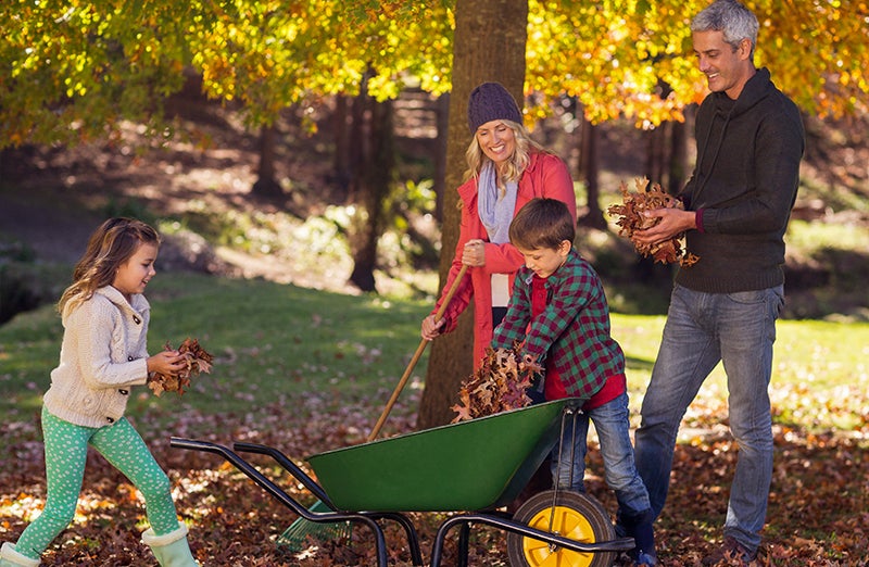 Raking Leaves