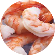peeled shrimp on ice