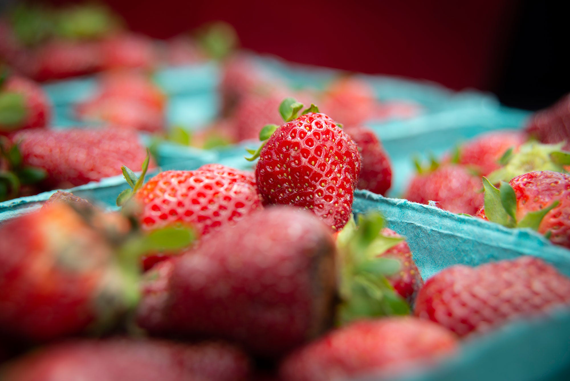 wakemed-farmers-market-strawberries