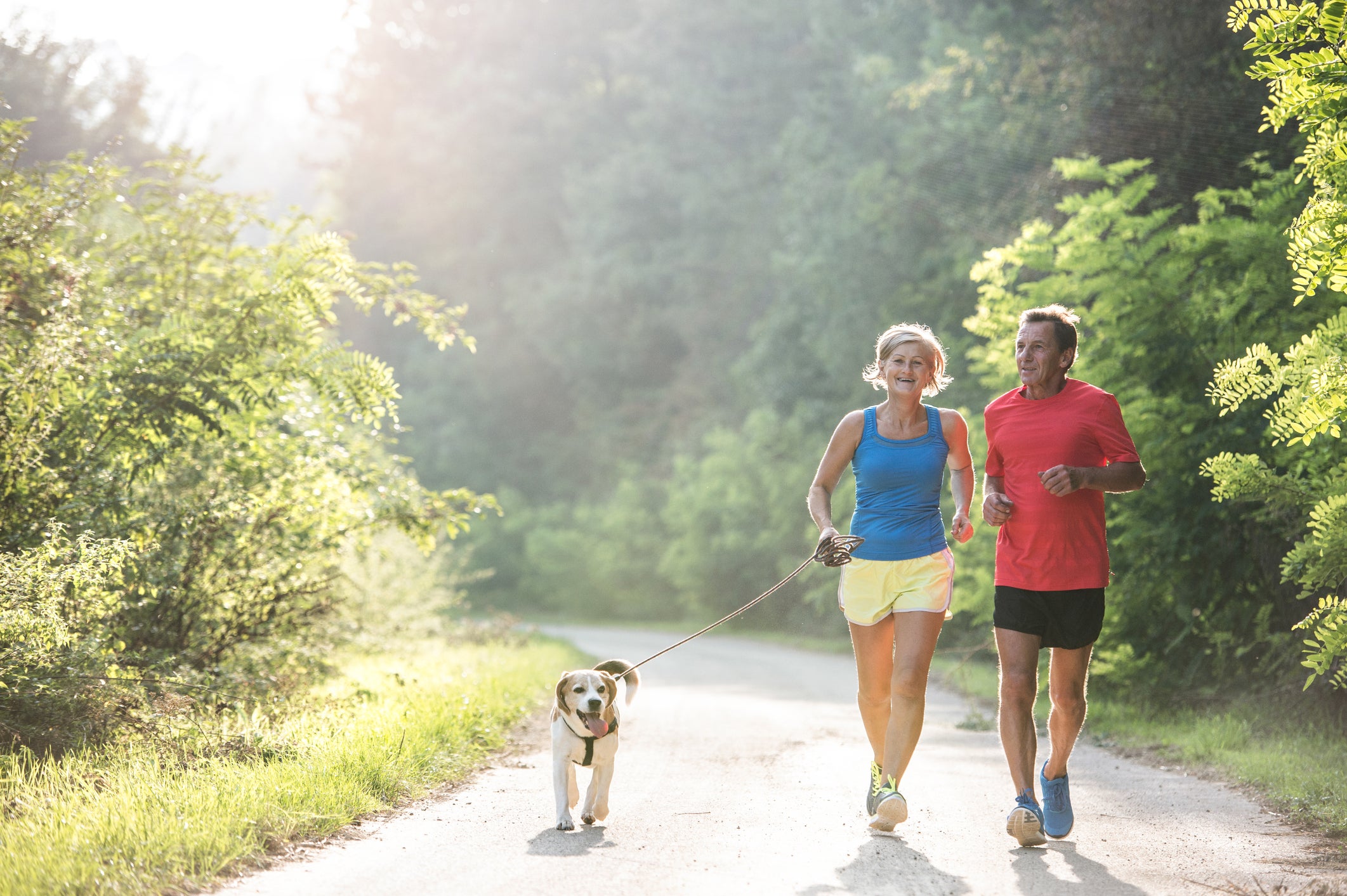 Senior couple with dog running in green sunny nature