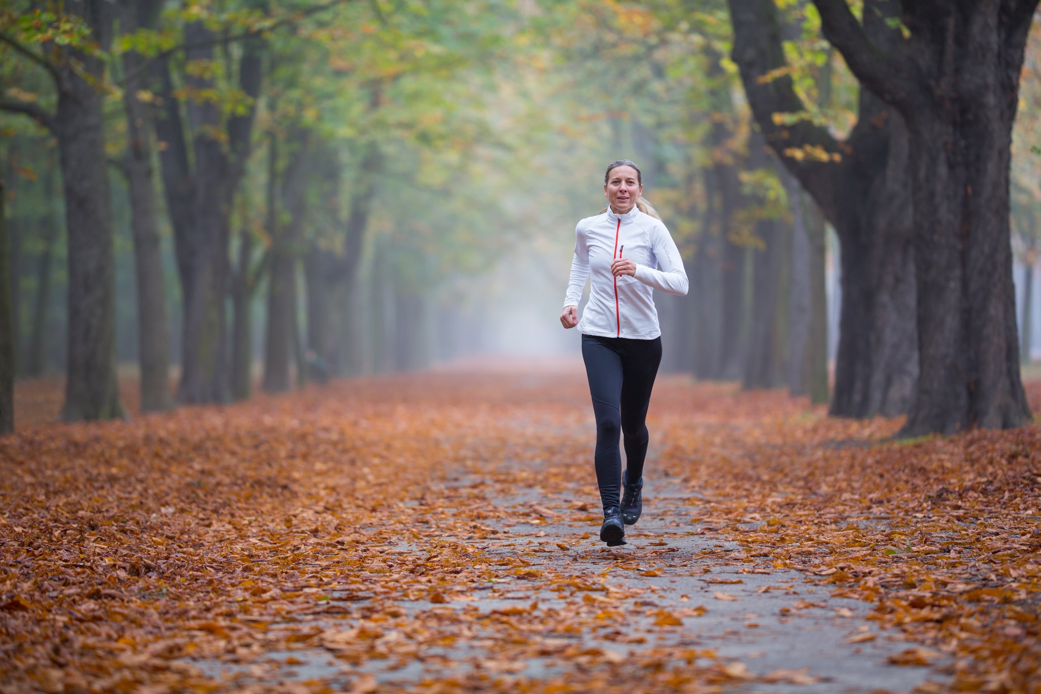 Women in Sport &ndash; running training in alley in autumn