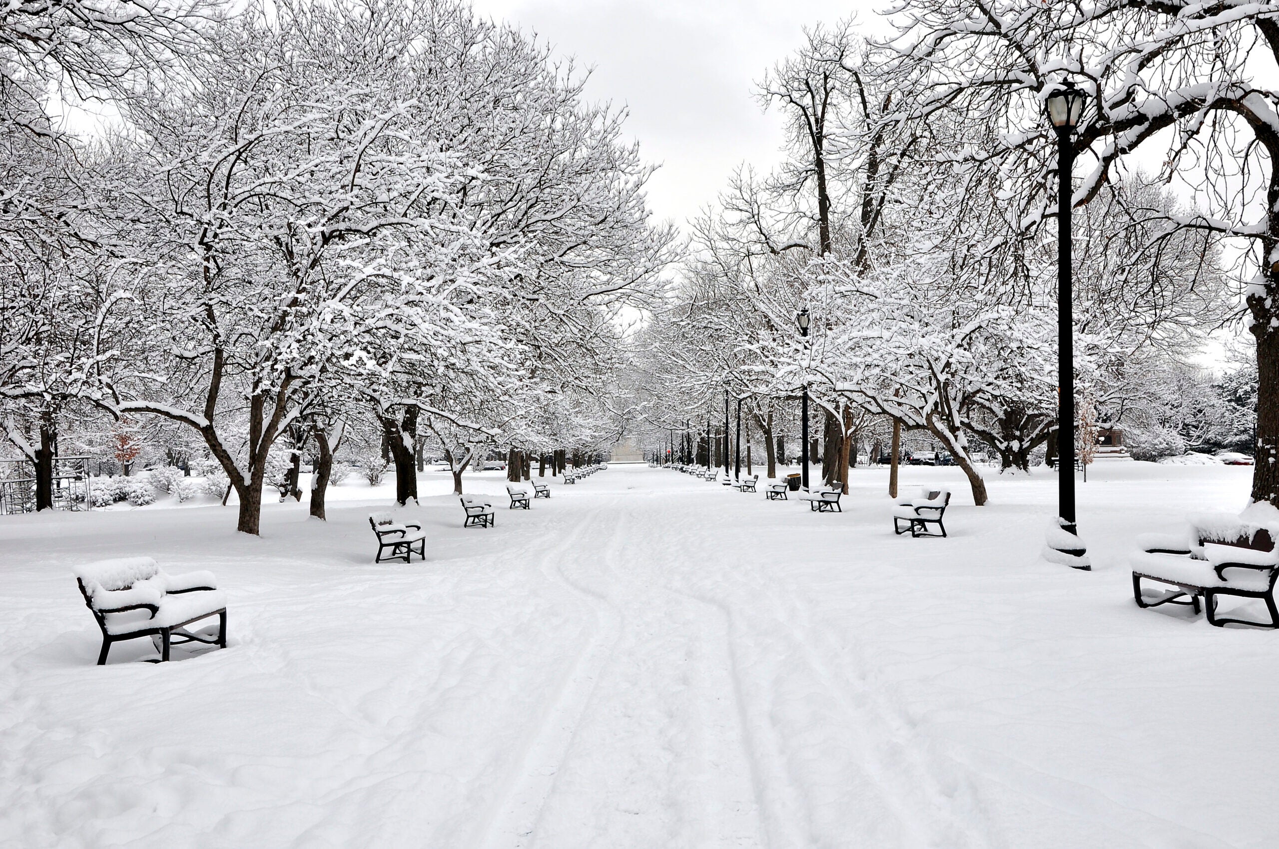Snow covered benches and trees in Washington Park