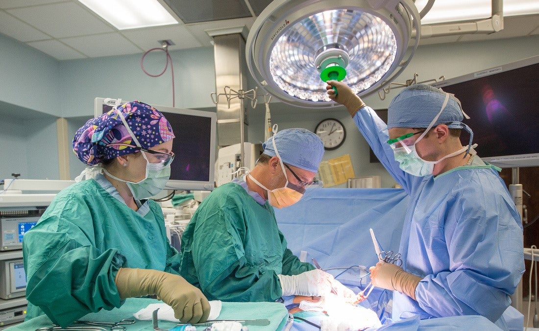 procedure-15A_E7_3786_3481014783_5