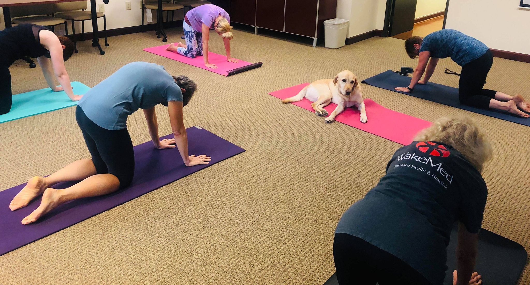 222767689_544125650276467_9001374234899083715_n