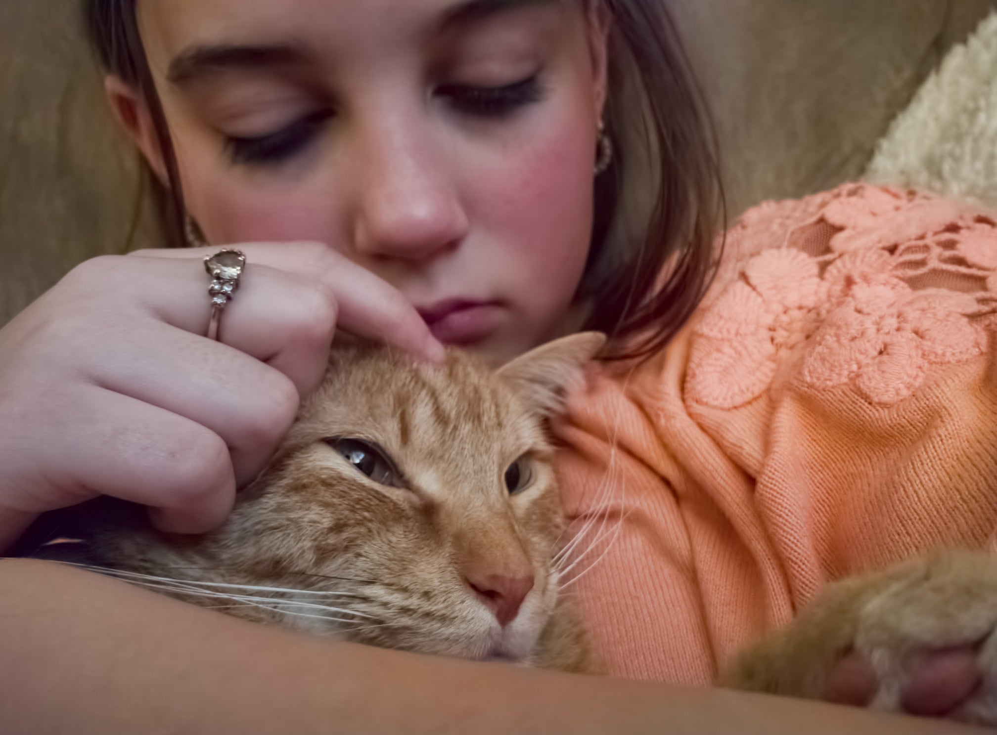 Sad cat owner petting her friend.