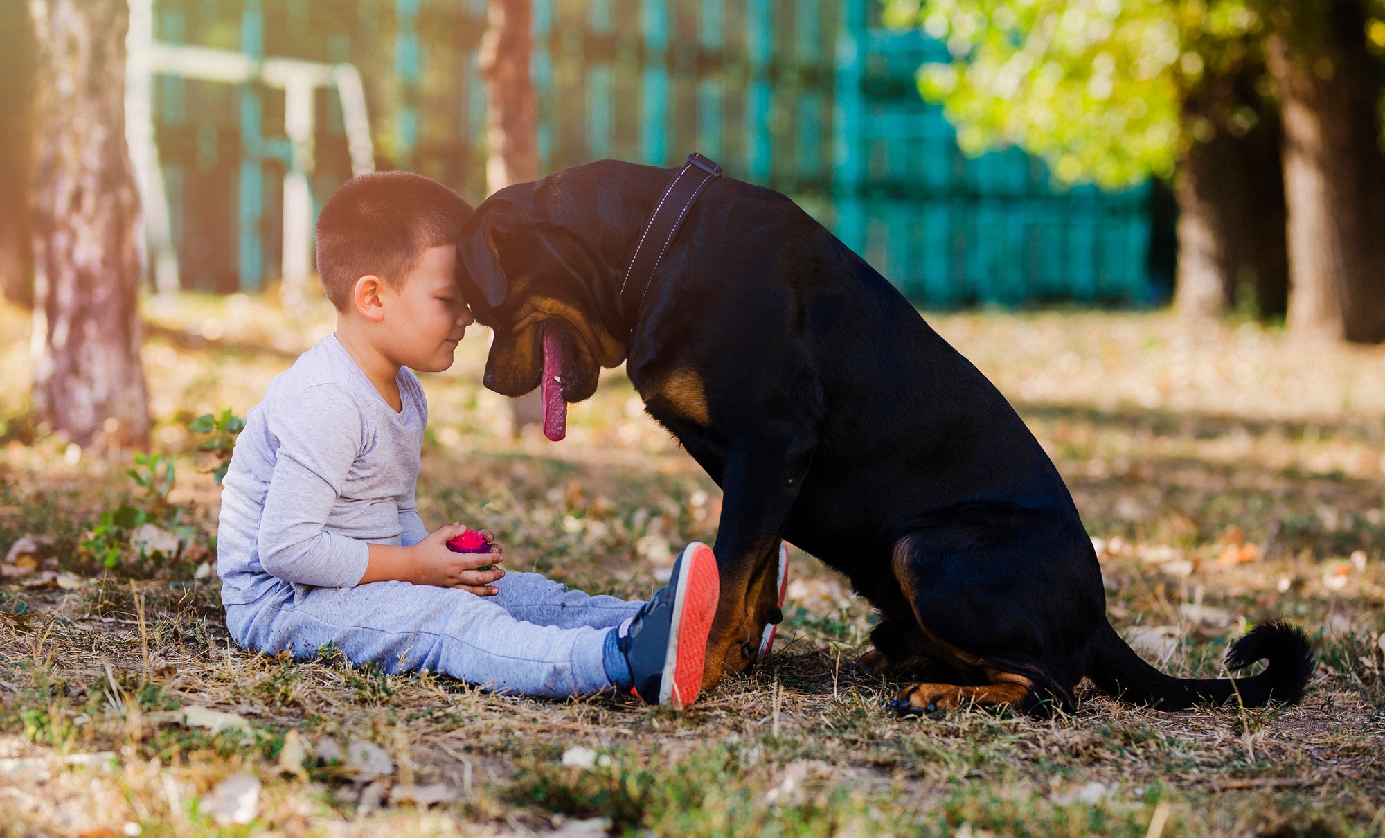 Little boy with big dog