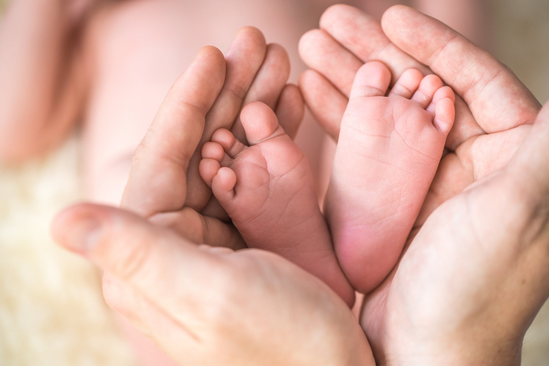 Baby feet in Hands of parents