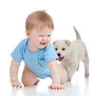 baby crawling with puppy