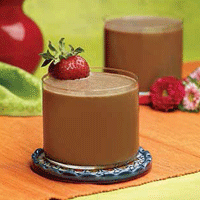 Health Wise Chocolate Protein Shake