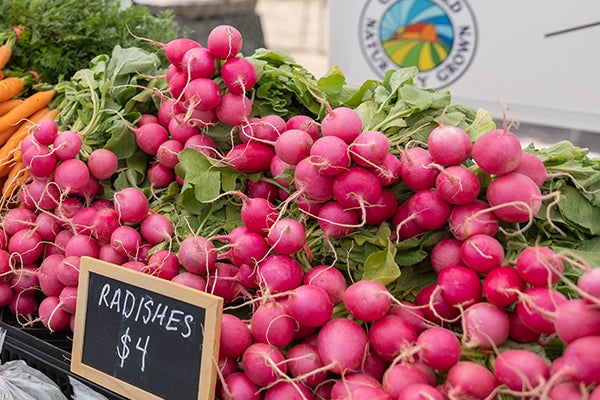 radishes at farmer's market