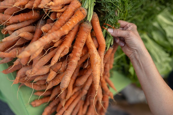 stalk of carrots