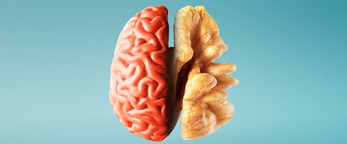 brain and walnut