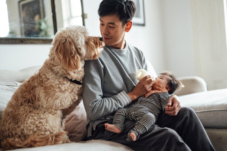 dad feeding baby with dog nearby