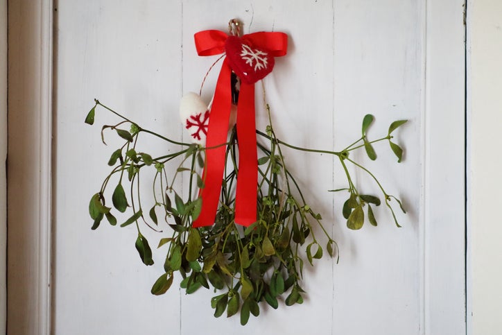 mistletoe on door