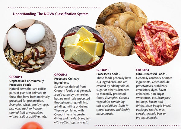 NOVA Classification System