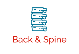 Back and Spine